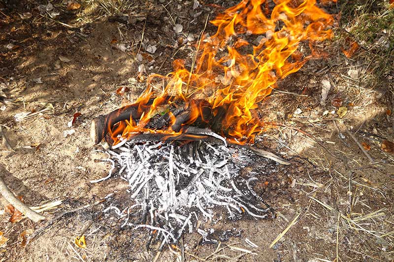 Ein Lagerfeuer bietet das Wichtigste um sich einen gewissen Komfort zu schaffen.