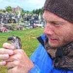 Vogelsprache: Survivaltrainer Heiko Gärtner