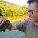 Überlebenskünstler bei der Untersuchung einer Schildkröte