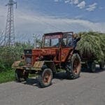 landwirtschaft  rumaeinien