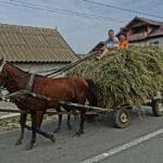 rumaeinien pferdekutsche