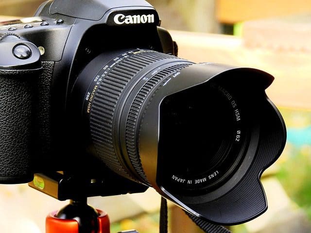 Canon liefert die perfekte Kamera Ausrüstung für die Wildtierfotografie.