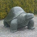 Steinschildkröte