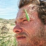 Survival Experten: Angst vor Insekten hält viele Menschen davon ab, frei in der Natur zu leben