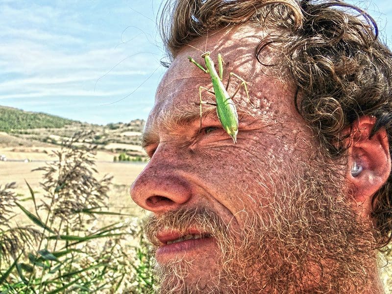 Survival Experten: Angst vor Insekten hält viele Menschen davon ab, frei in der Natur zu leben
