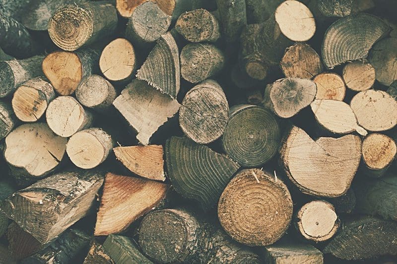 Welches Feuerholz eignet sich für welches Feuer?
