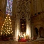 Der Dom von Regensburg mit prächtigem Weihnachtsbaum