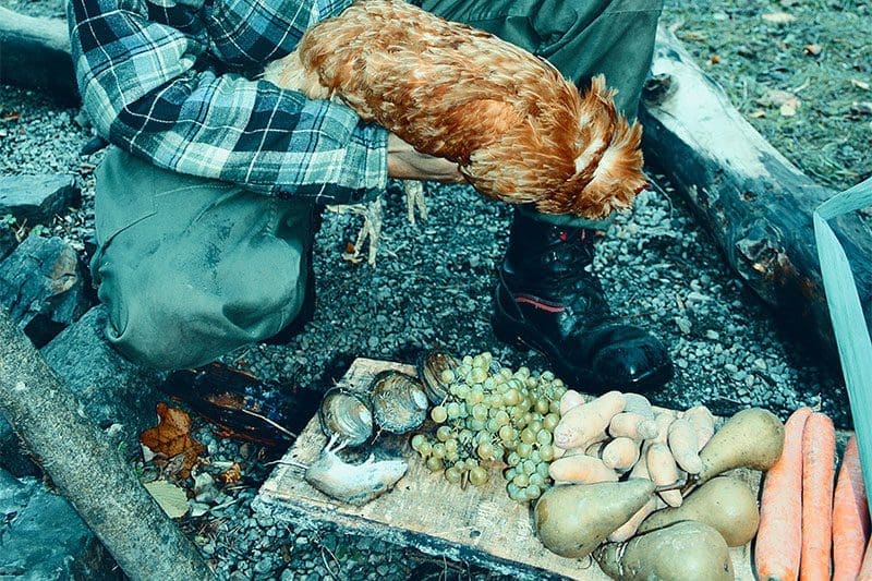 Wildnahrung für ein Survival Essen im Wald