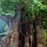 Bäume zeigen Heiko Gärtner die Heilkräfte der Natur