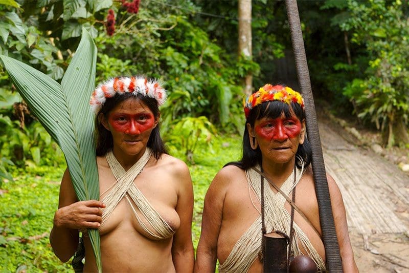 Torfmoos wird in alten traditionellen Völkern von Frauen während ihrer Periode benutzt