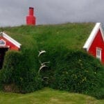 Bilder und Impressionen einer Weltreise: Isländisches Haus mit Grasdach