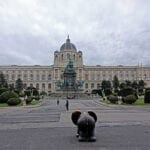Ein Elefant in Wien