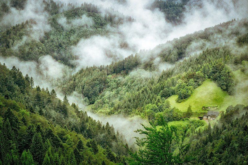Der Schwarzwald ist eines der schönsten Naturparadiese in Deutschland