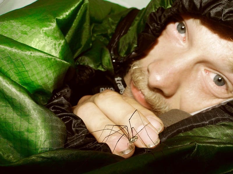 Schlafplatz mit Spinne für Heiko Gärtner