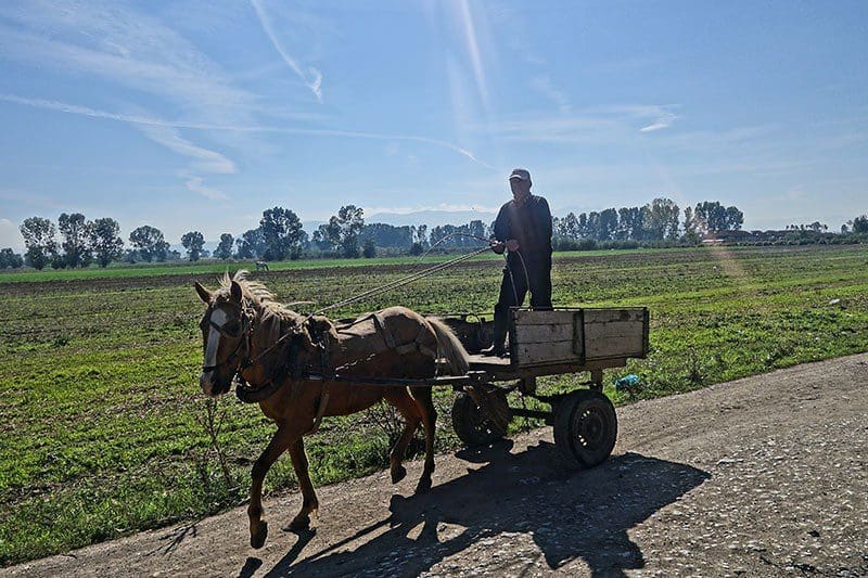 Ein albanischer Straßenhändler