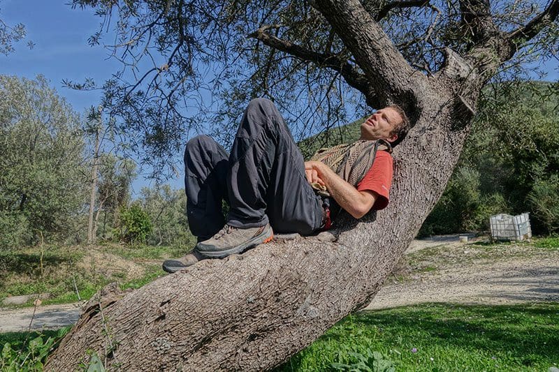 Heiko Gärtner entspannt auf einem Baum
