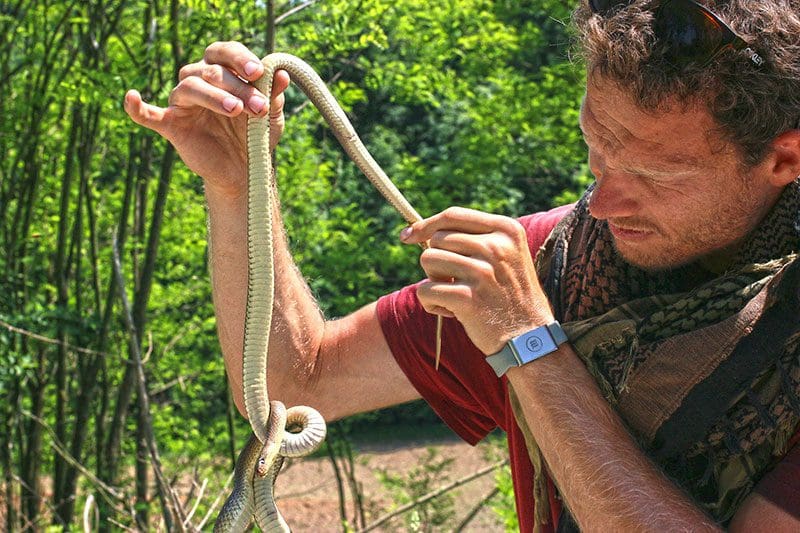 Weltrekord Laufen: Survival Experte Heiko Gärtner untersucht eine Schlange