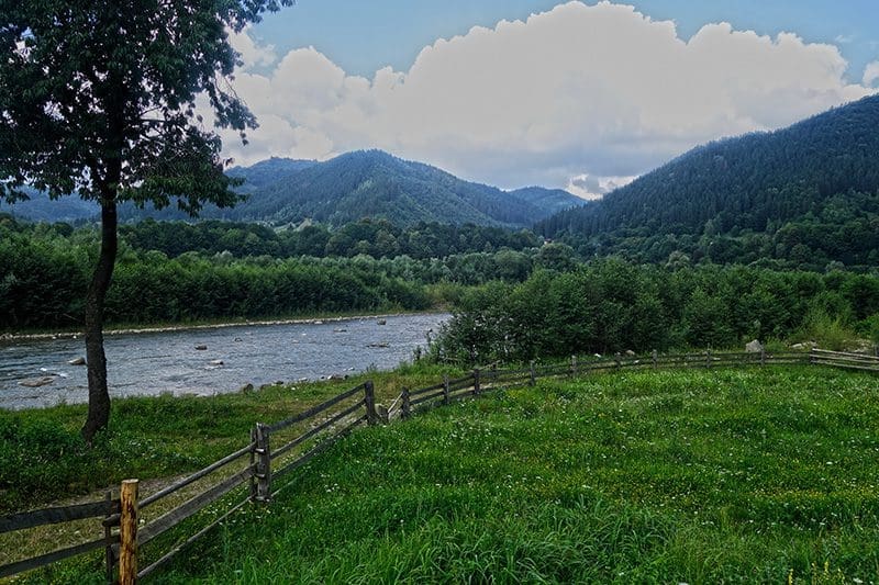 Ein Fluss im Waldgebiet kann gut zur Orientierung dienen