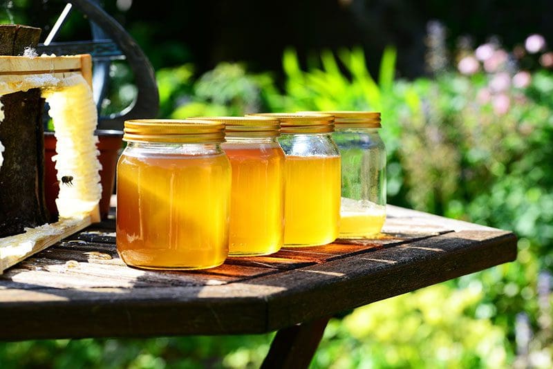 Leckerer Honig aus eigener Imkerei