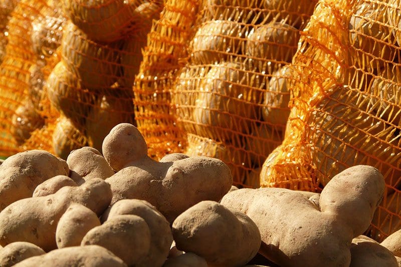 Regionale Lebensmittel: Kartoffel vom Bauern um die Ecke