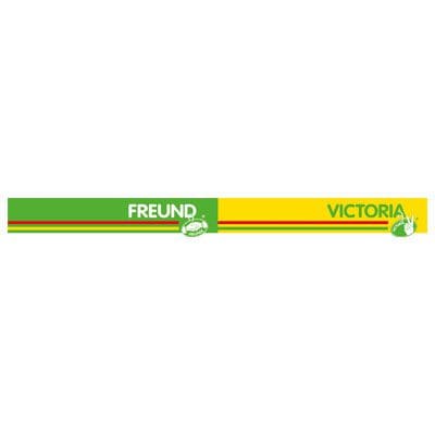 Freund-Victoria-Logo