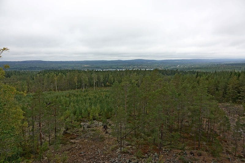 Blick über die Wälder nahe der Ostseeküste Schwedens