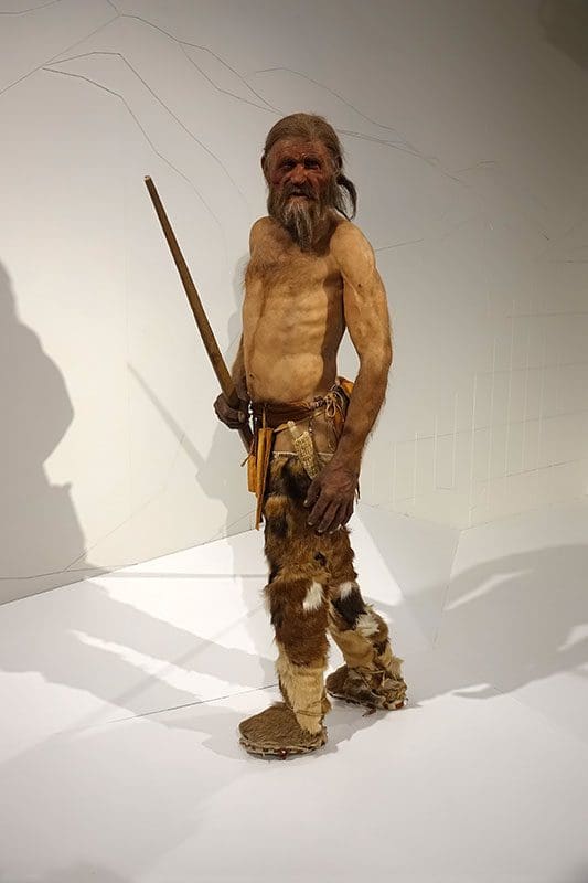 Ötzi im Bozener Museum.