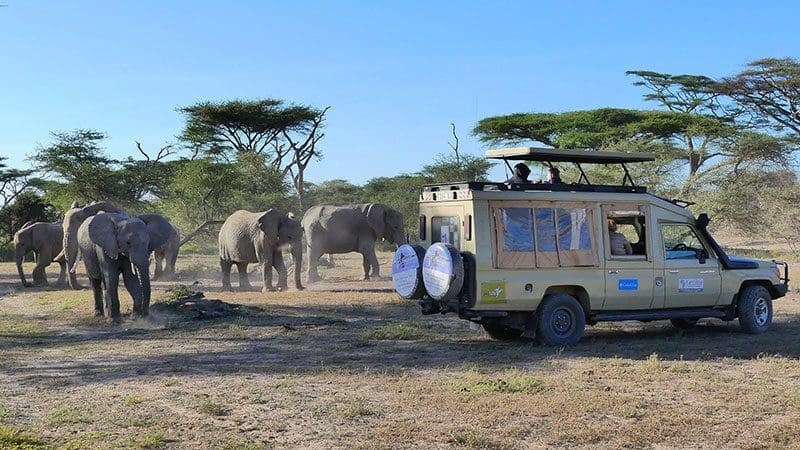 Offroad-Touristenbus in Afrika - Ebenfalls eine gute Grundlage für ein kleines Expeditionsmobil