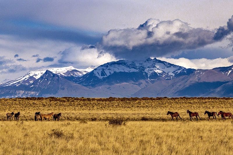 Patagonien Berge Pferde Natur Weite
