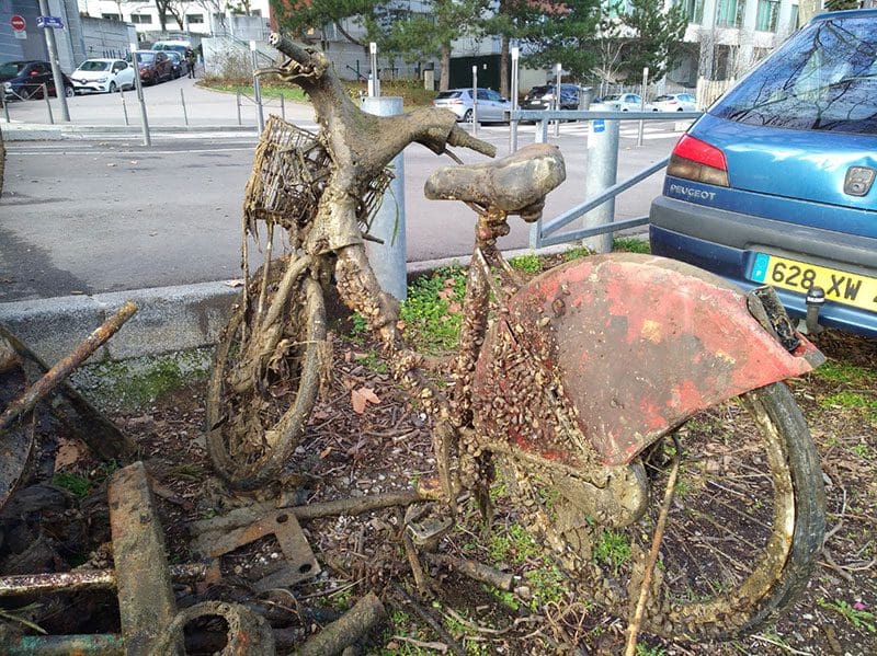 Erfolg beim Magnetfischen - Ein altes Fahrrad