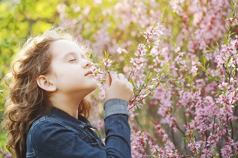 Kind Nase riechen Hellsinne Blumen