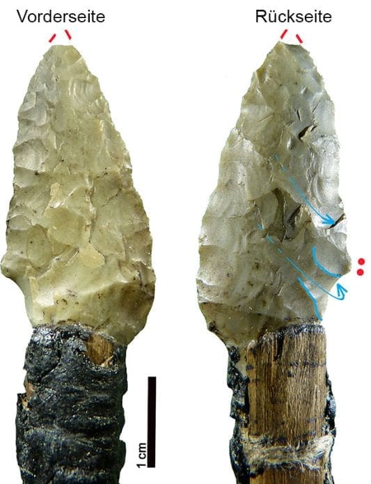 Ötzi Arrowhead Pfeil Birkenpech