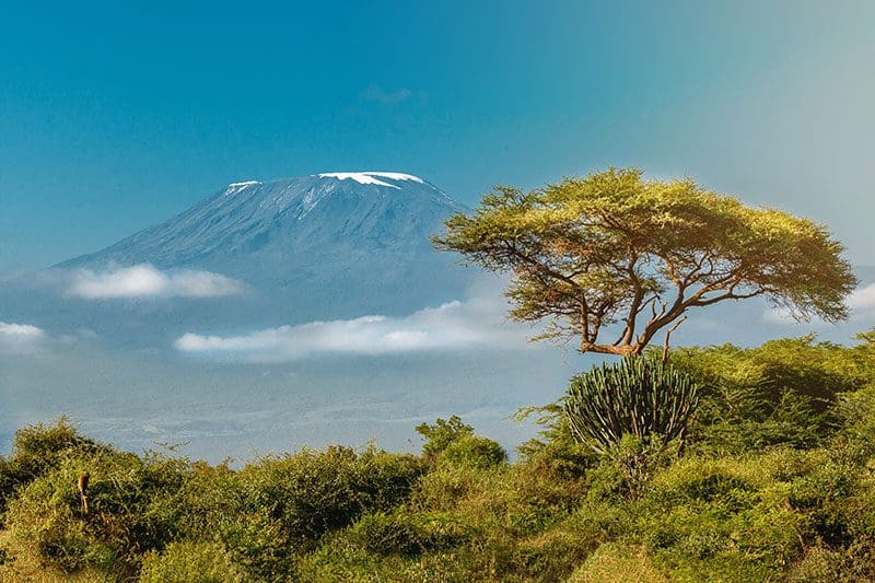 Der Kilimanjaro Berg in Tansania ist einzigartig in seiner Höhe und ein beliebtes Zielt um nach Afrika zu reisen.