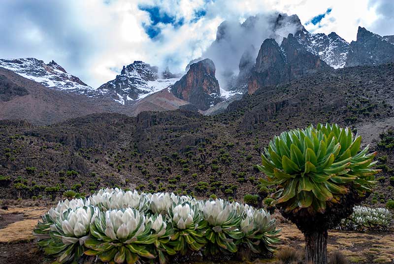 Mount Kenya ist der heilige Berg der Kikuyu und Maasai.