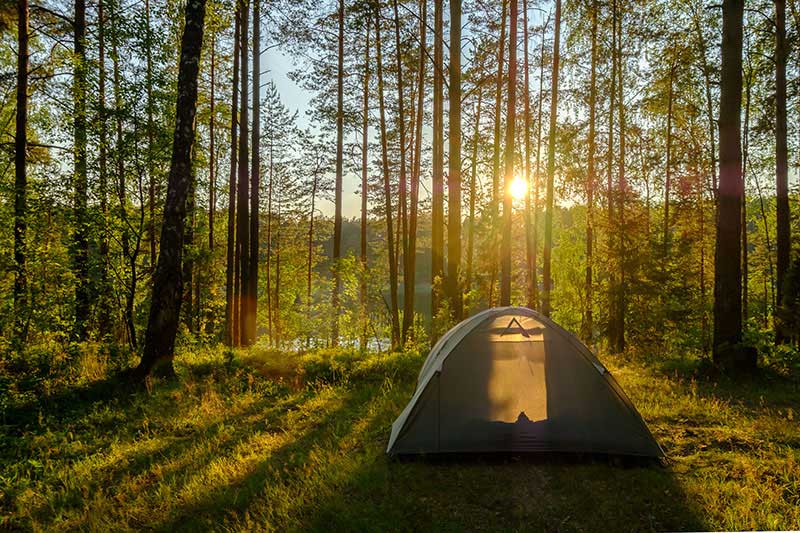 Campen im Wald kann sehr teuer werden.