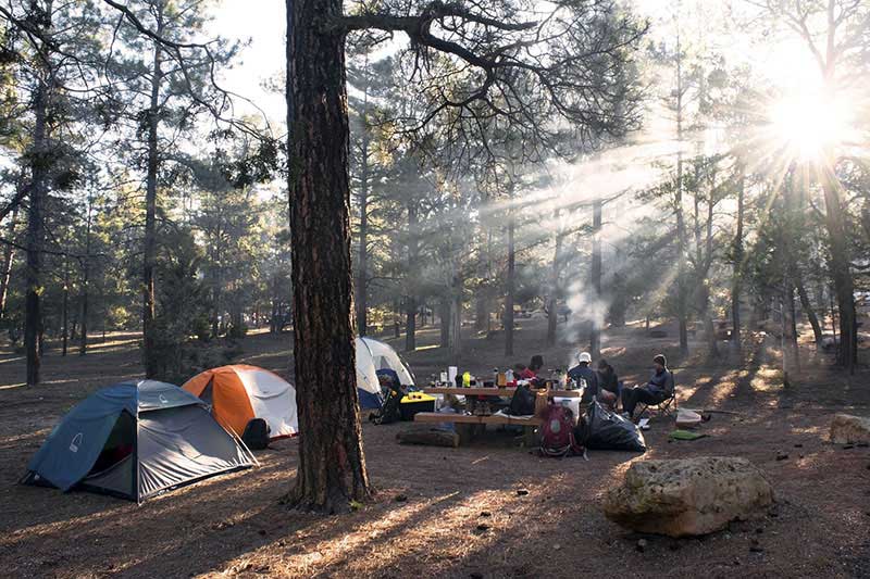 Campen im Wald ist an offiziellen Naturübernachtungsplätzen kein Problem.