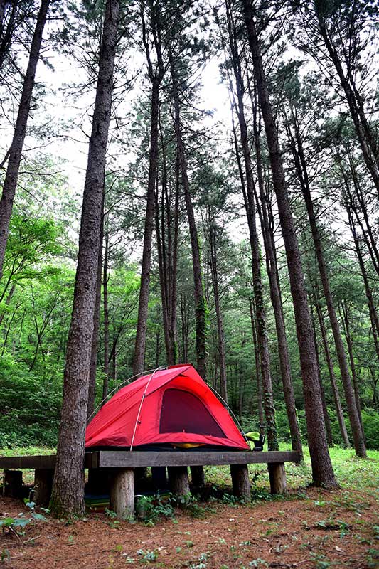 Manche Camps bieten hölzernde Plattformen für Ihr Zelt an.