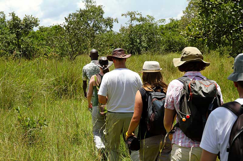 In einigen Nationalparks dürfen Natur- und Tierliebhaber nur mit einem Ranger zu Fuß in Afrika unterwegs sein.