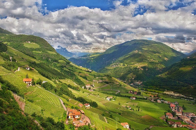 Genießt die schönen Wanderungen in den Weinbergen Südtirols.