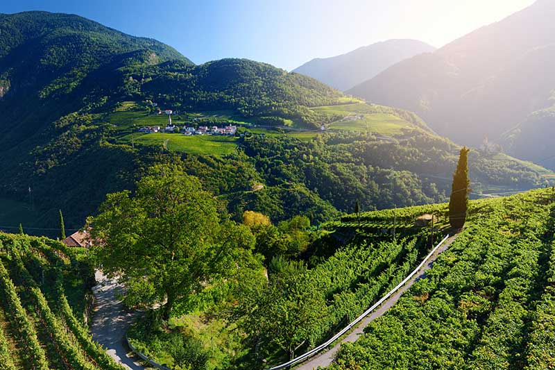 Viele Radtouren in Südtirol führen unter anderem durch die bekannte und wunderschöne Südtiroler Weinstraße.