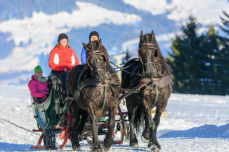 Nach einer langen Reise nach Südtirol mit dem Auto ist eine Pferdeschlittenfahrt zum Ankommen genau das Richtige.
