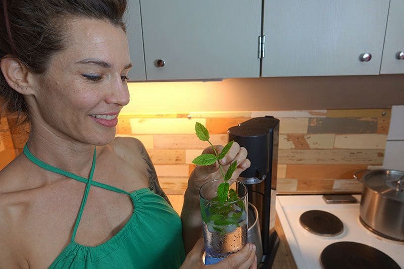 Das SodaStream Bio Sirup wird von uns mit einer Zitronenmelisse aus dem Garten aufgepeppt.