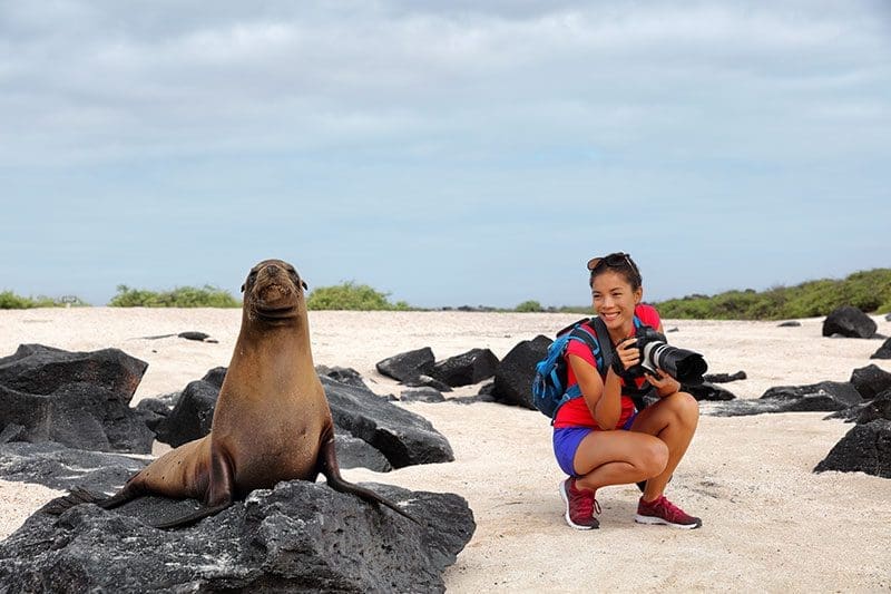 Bei der Tierfotografie könnt ihr auch näher an die Tiere heran gehen, doch sollte man immer einen gewissen Abstand einhalten und den Tieren mit Respekt und Ruhe begegnen.