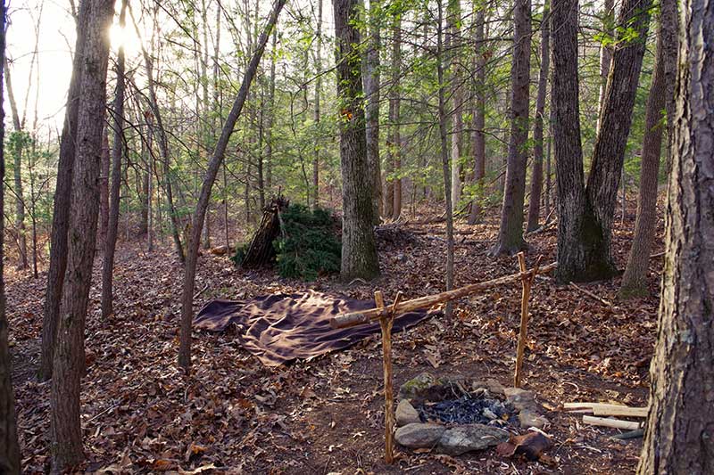 Eine Laubhütte wurde im Wald zusammen mit einer Feuerstelle errichtet - so kann ein Überleben in der Wildnis funktionieren.