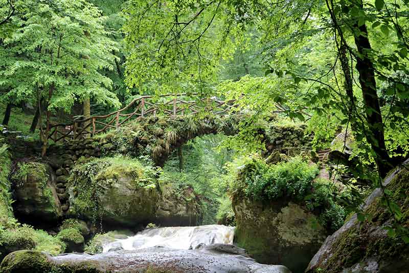 Wandertrails wie der Wanderweg Mullerthal-Trail in Luxemburg lassen uns über die wunderschöne Natur staunen.
