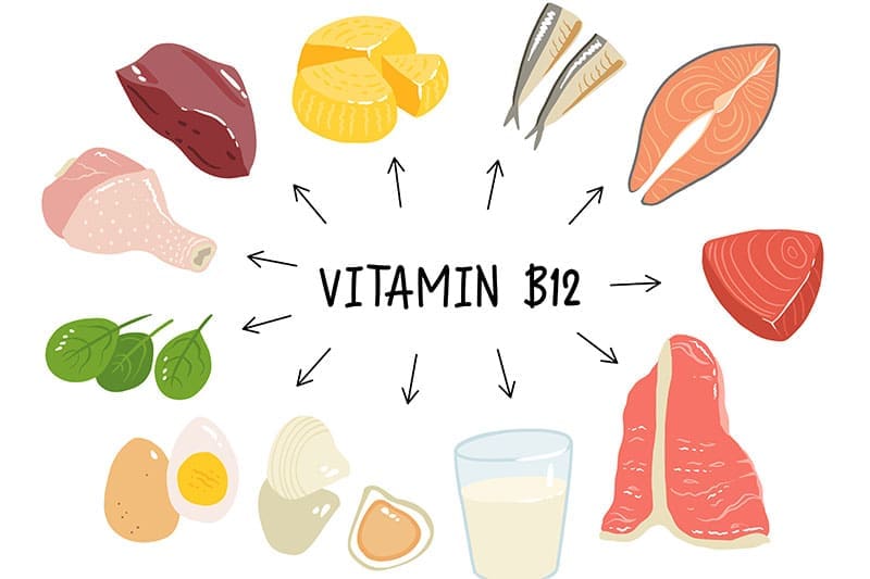 Vitamin B12 Ernährung und Kost