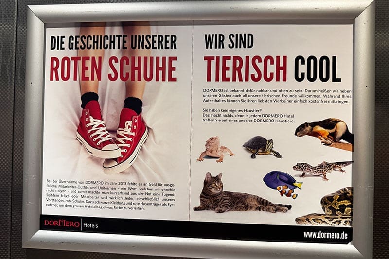 Dormero-Hotel-coole-Infos-über-Schuhe-und-Tiere