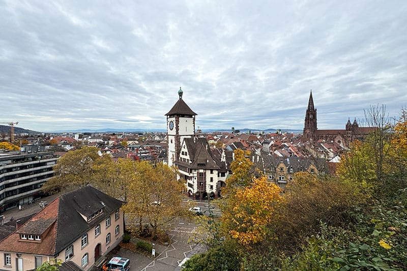 Stadt-Freiburg-von-oben
