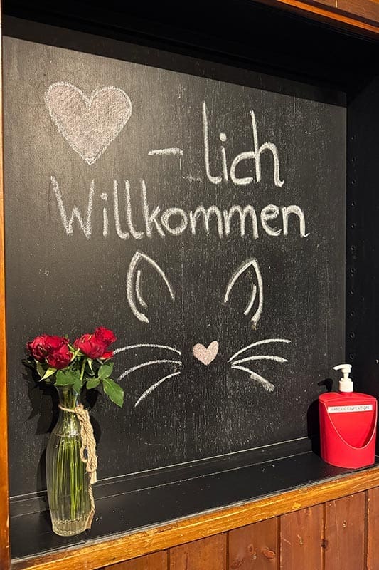 Willkommen-im-Kater-Hiddigeigei-Gasthof